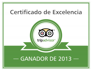 excellence-badge_2013_es